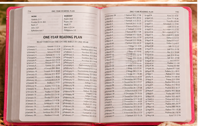 Pink KJV Gift Edition Bible one-year reading plan