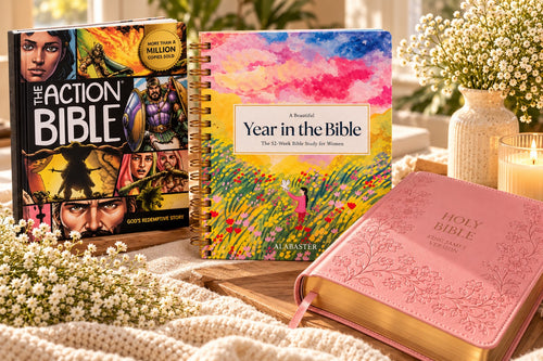 The Action Bible, A Beautiful Year in the Bible and the Pink KJV Gift Bible together